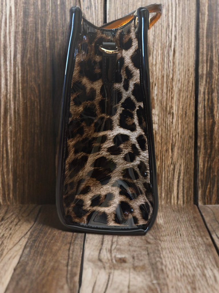 The Cheetah Connection