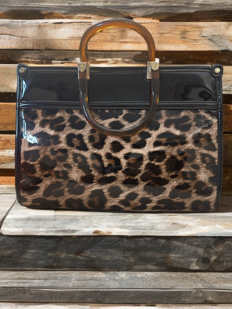 The Cheetah Connection